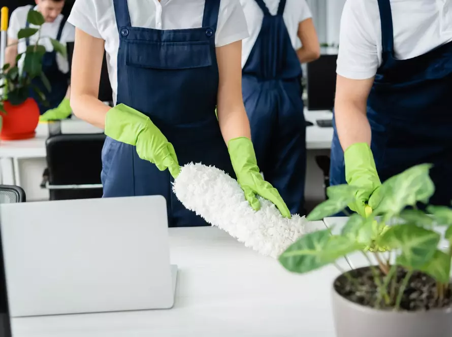 personnel de nettoyage avec des gants verts nettoyant une plante et un bureau